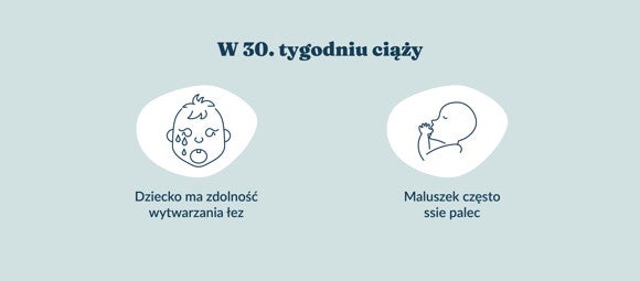 Płód w 30 tygodniu ciąży