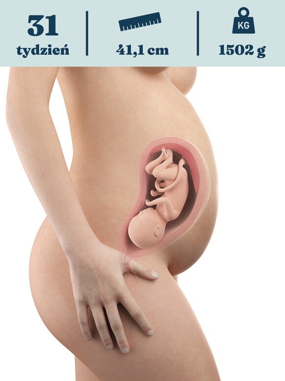 Rozwój dziecka – 31. tydzień ciąży