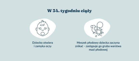 Płód w 34 tygodniu ciąży