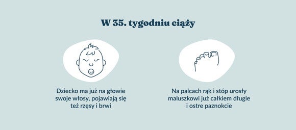 Płód w 35 tygodniu ciąży