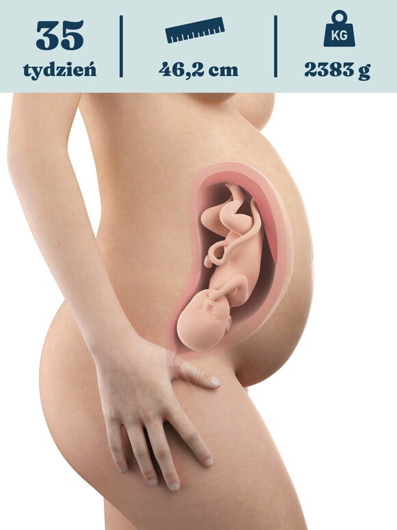 Rozwój dziecka – 35. tydzień ciąży