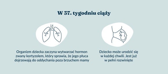Płód w 37 tygodniu ciąży