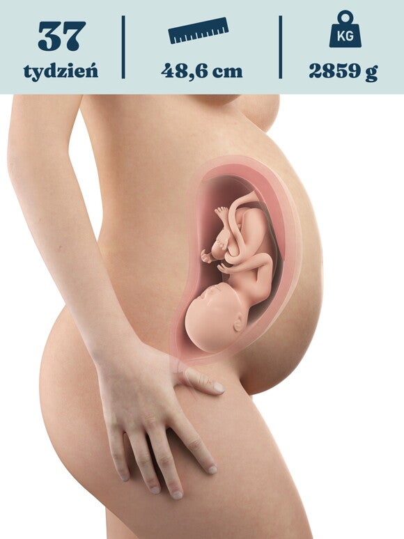 Rozwój dziecka – 37. tydzień ciąży