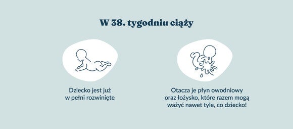 Płód w 38 tygodniu ciąży