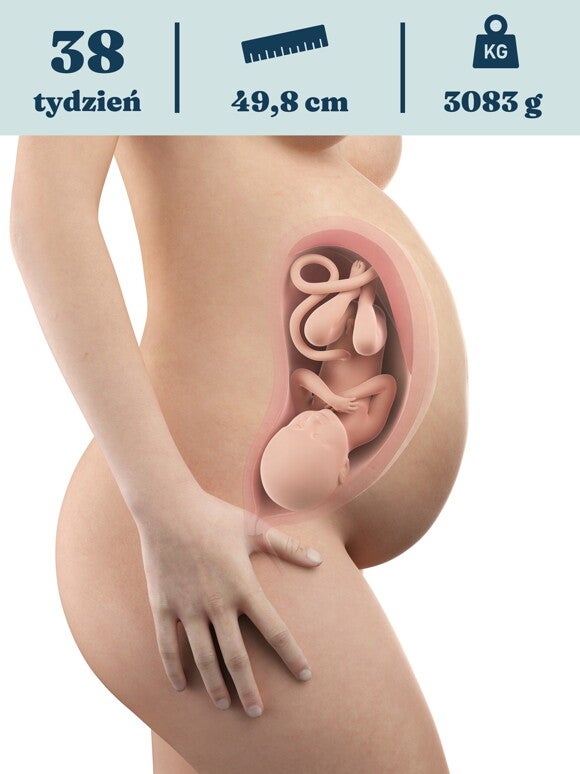 Rozwój dziecka – 38 tydzień ciąży