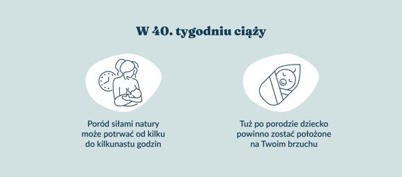 Płód w 40 tygodniu ciąży