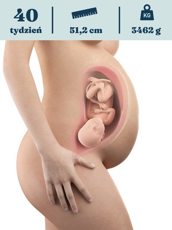 Rozwój dziecka – 40. tydzień ciąży