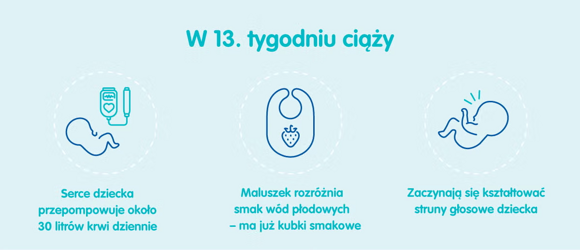 Płód w 13 tygodniu ciąży Płód w 13 tygodniu ciąży