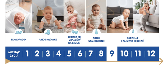 Kalendarz rozwoju dziecka z zaznaczonym dzięwiątym miesiącem Kalendarz rozwoju dziecka z zaznaczonym dzięwiątym miesiącem