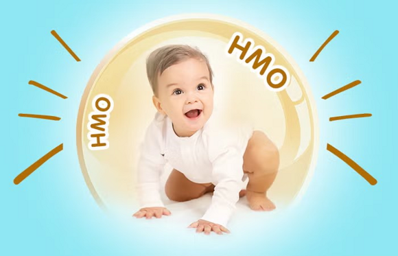 hmo 21 hmo 21