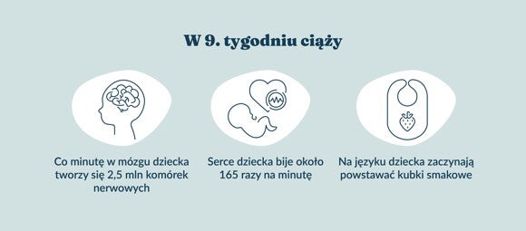Płód w 9 tygodniu ciąży