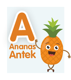 ananas-antek ananas-antek