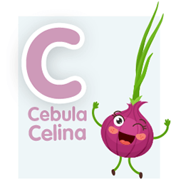 cebula-celina cebula-celina