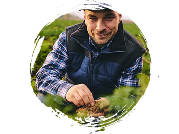 Pan Michał Pan Michał