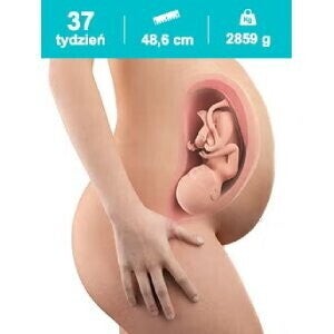 Dziecko w 37 tygodniu ciąży Dziecko w 37 tygodniu ciąży