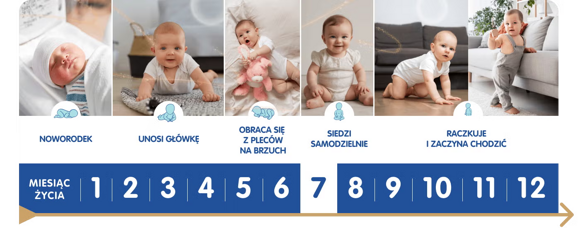 Kalendarz rozwoju dziecka z zaznaczonym siódmym miesiącem Kalendarz rozwoju dziecka z zaznaczonym siódmym miesiącem