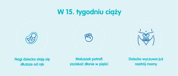 Płód w 15. tygodniu ciąży