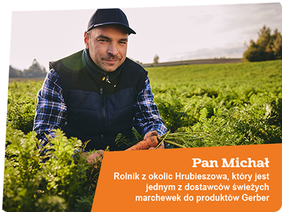 Farmer in a carrot field, wearing a cap and vest, harvesting carrots.