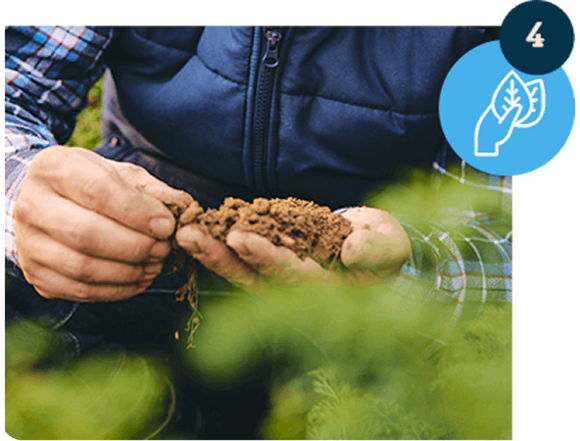 Pomagamy stosować „zielone nawozy”