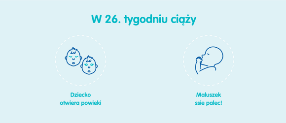 Rozwój dziecka – 26. tydzień ciąży Rozwój dziecka – 26. tydzień ciąży