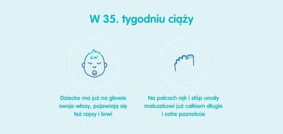 Płód w 35 tygodniu ciąży Płód w 35 tygodniu ciąży