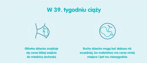 Płód w 39 tygodniu ciąży Płód w 39 tygodniu ciąży