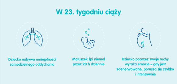Rozwój dziecka – 23. tydzień ciąży Rozwój dziecka – 23. tydzień ciąży