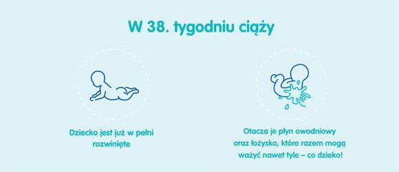 Płód w 38 tygodniu ciąży