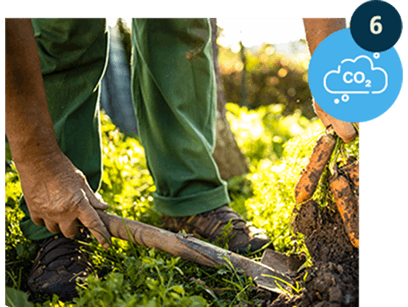 Rolnictwo regeneracyjne