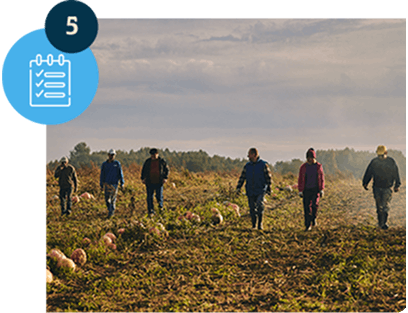 Rolnicy spacerują po dyniowym polu