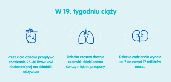 Rozwój dziecka – 19