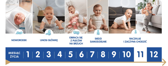 Kalendarz rozwoju dziecka z zaznaczonym 11 miesiącem