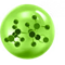 OPTIPRO®